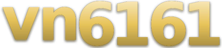 vn6161 logo